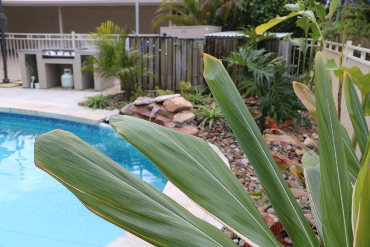 Noosa River Palms Noosaville Kültér fotó